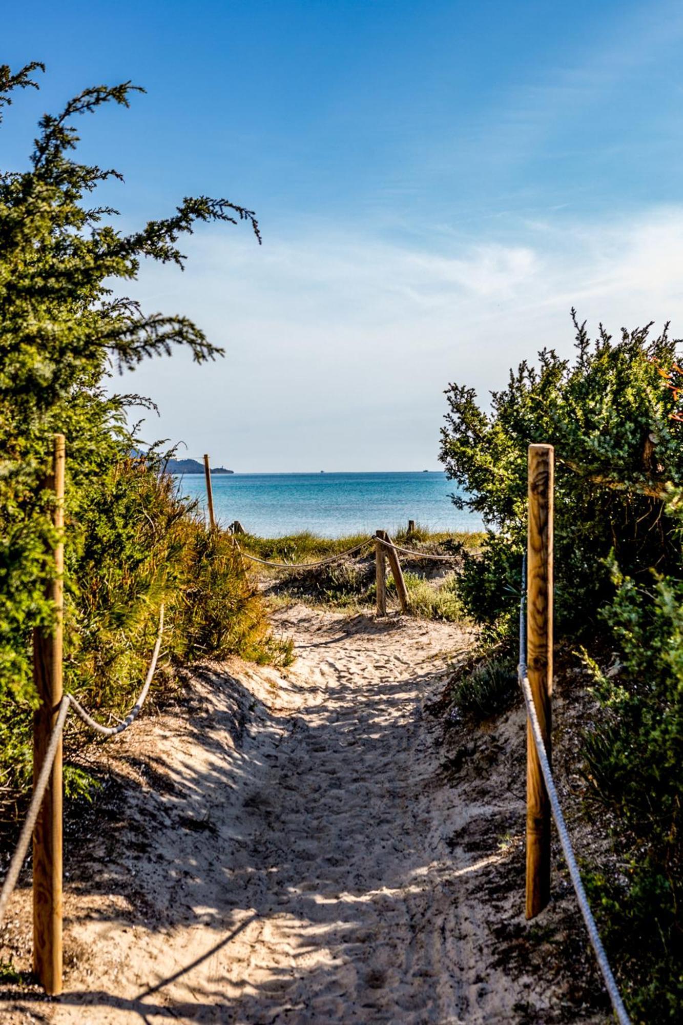 Grupotel Parc Natural & Spa Плайя де Муро Экстерьер фото View of Lake Michigan from the dunes at the Indiana Dunes National Park
